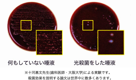 殺菌前後の比較